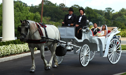 Wedding couple in horse drawn carriage